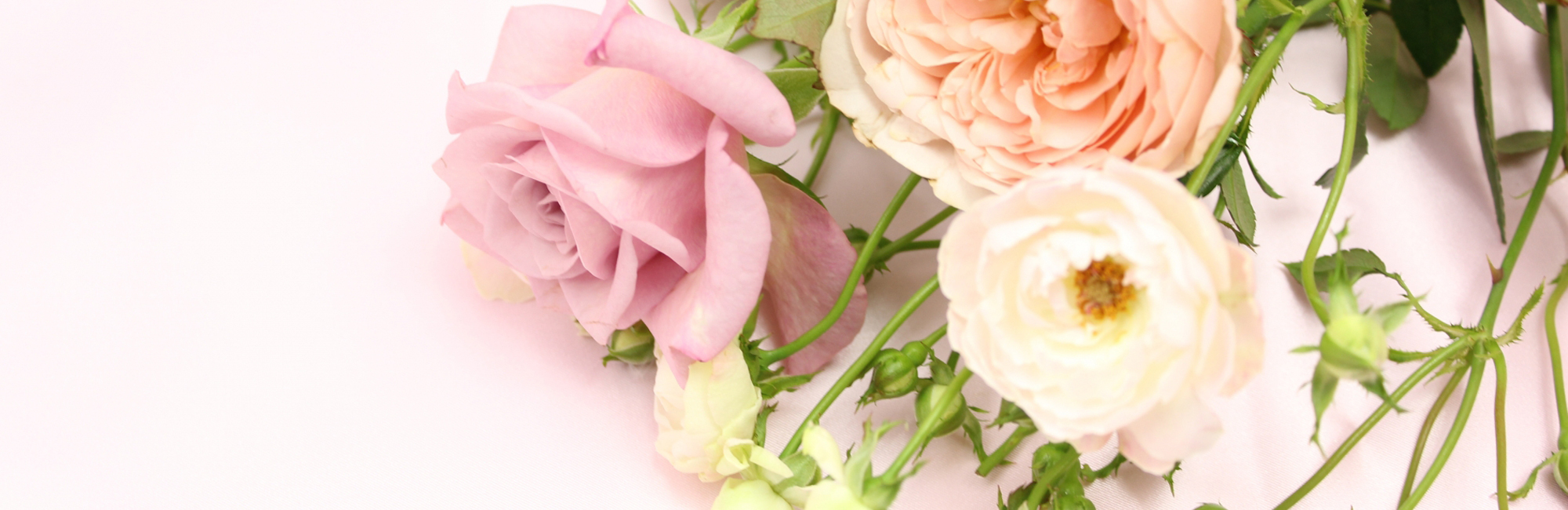 浜松市浜名区平口、サンストリート浜北停留所、外科、美容皮膚科