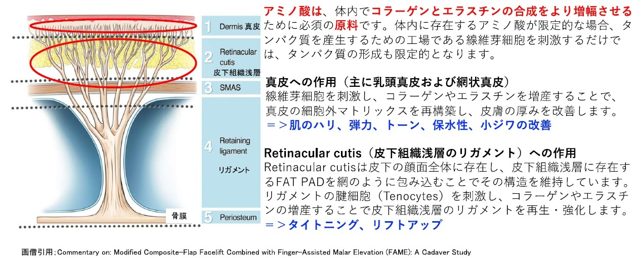 リジュランの有効成分